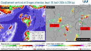 article-image
